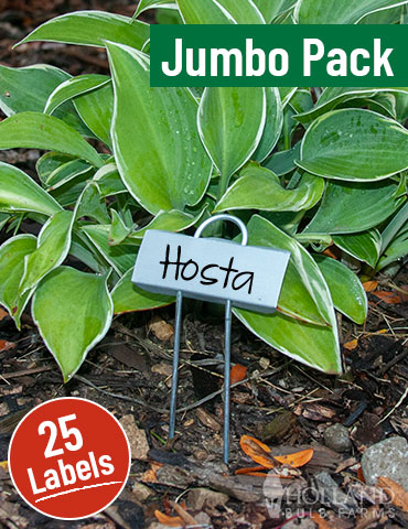 Miniature Plant Labels Jumbo Pack - 63105