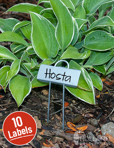 Miniature Plant Labels 