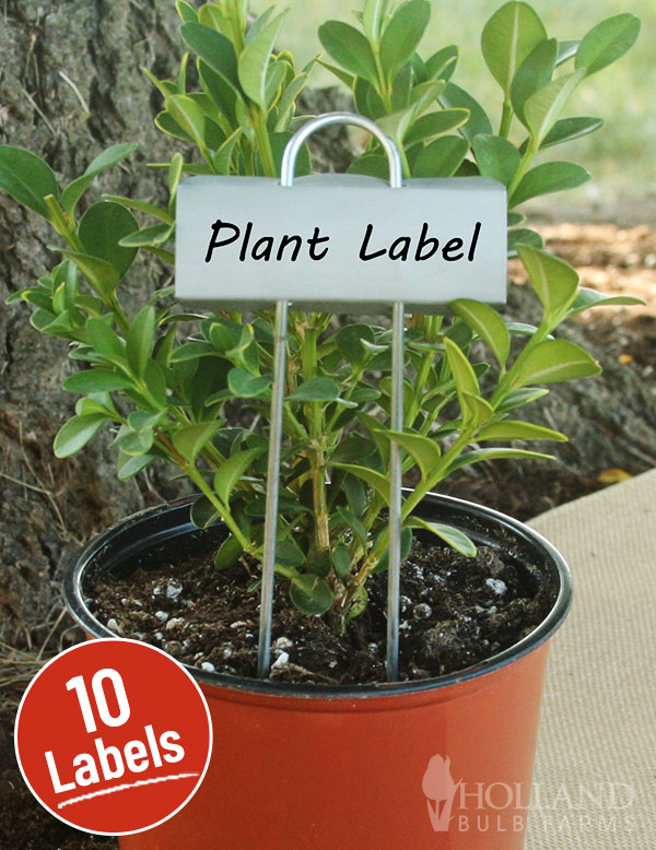 Miniature Plant Labels 