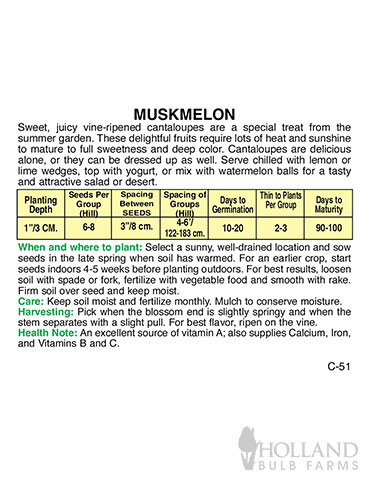 Muskmelon Cantaloupe Honey Rock - 75608
