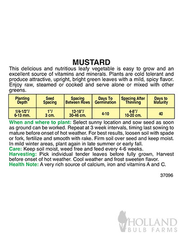Mustard Florida Broadleaf - 75614