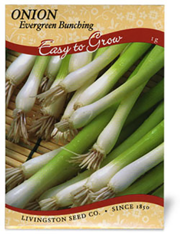 Onions Evergreen - 75545