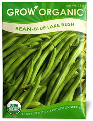 Organic Bush Bean Seeds Blue Lake 