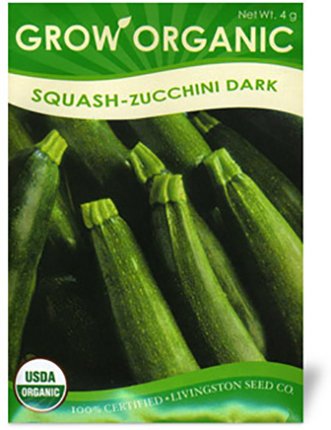 Organic Dark Zucchini Squash 