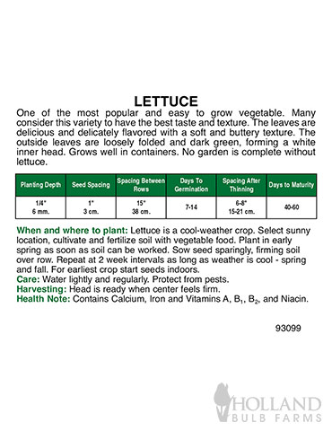 Organic Lettuce Bibb - 75631
