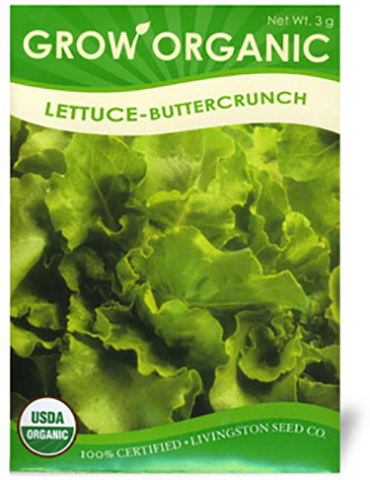 Organic Lettuce Seeds Buttercrunch 
