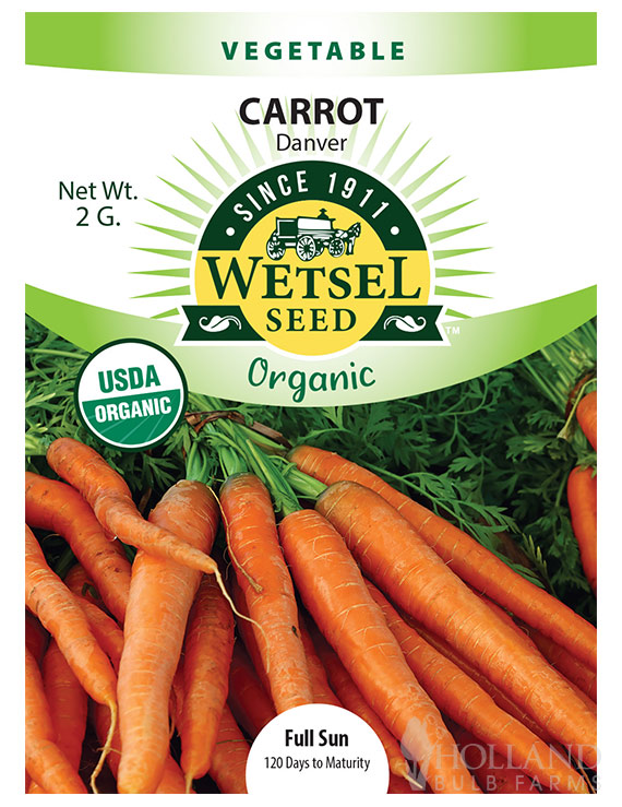 Organic Long Carrot Seeds Danvers Half