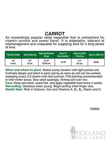 Organic Long Carrot Seeds Danvers Half - 75629