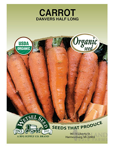 Organic Long Carrot Seeds Danvers Half 