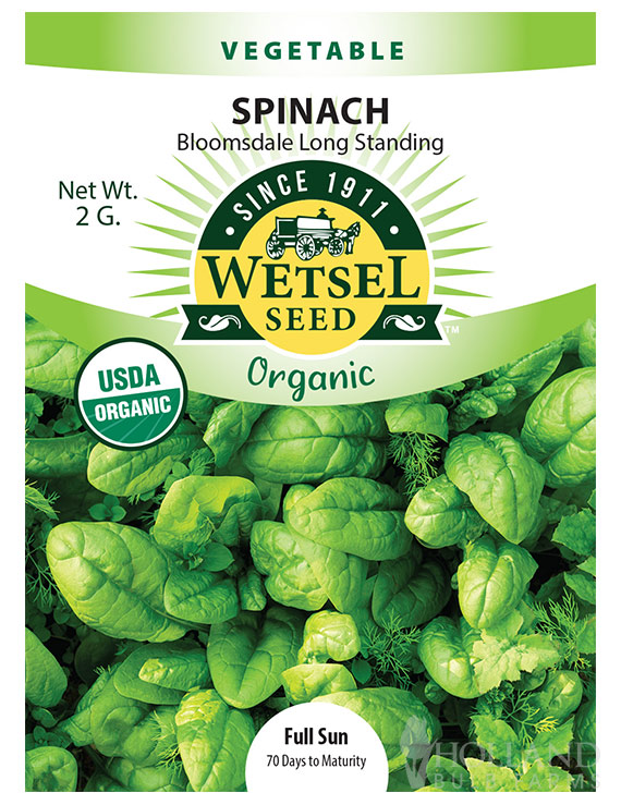 Organic Spinach Bloomsdale Long Standing
