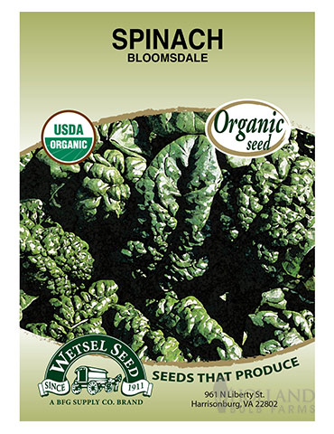 Organic Spinach Bloomsdale Long Standing - 75634
