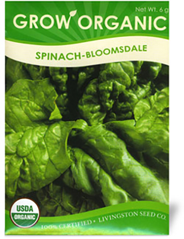 Organic Spinach Bloomsdale Long Standing 