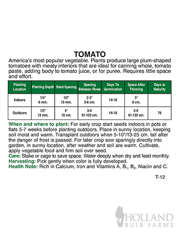 Organic Tomato Roma - 75638