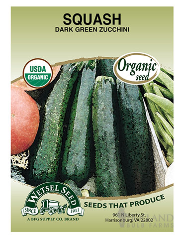 Organic Zucchini Black 