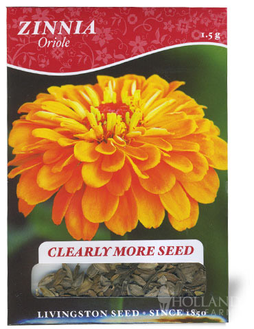 Oriole Zinnia Seeds 