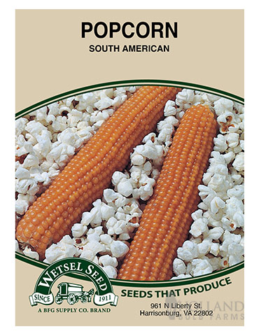 Ornamental Corn South African Mix - 75690