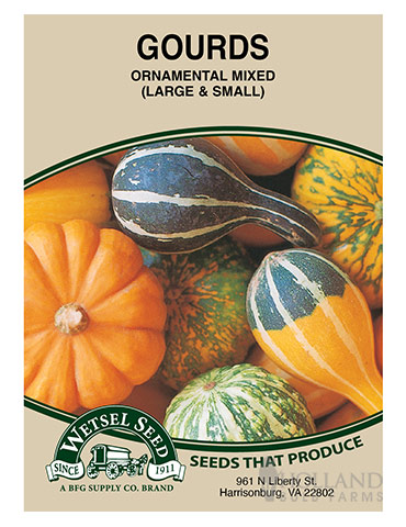 Ornamental Gourds Large & Small Mix 