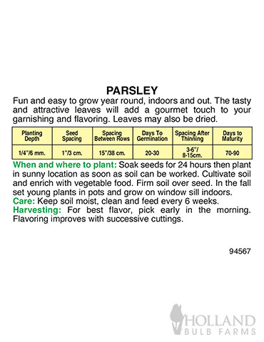 Parsley Plain Single - 75546
