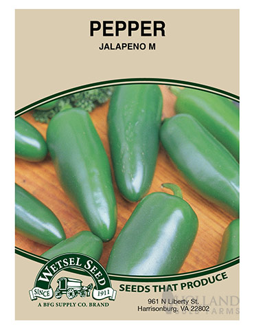 Pepper Jalapeno - 75551