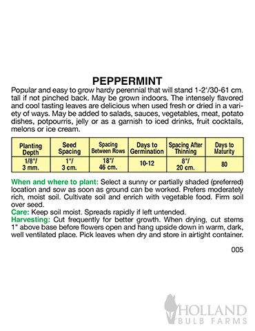Peppermint - 75698