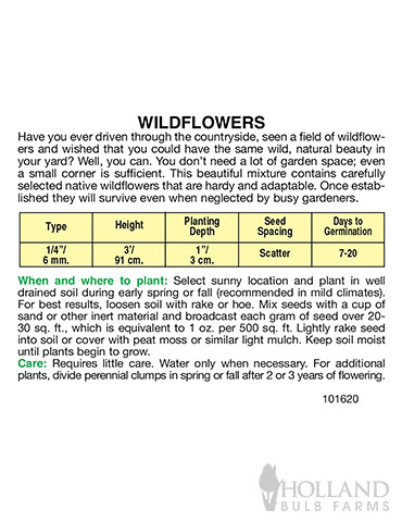 Perennial Wildflower North American Mix - 75619