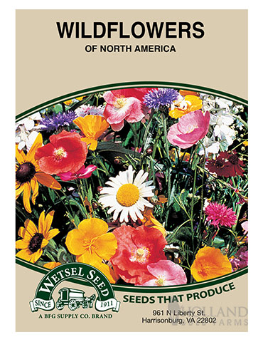 Perennial Wildflower North American Mix 