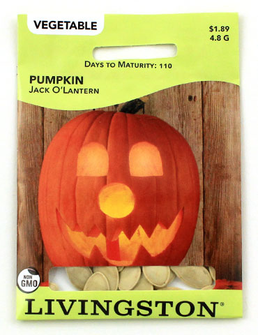 Pumpkin Jack O Lantern 