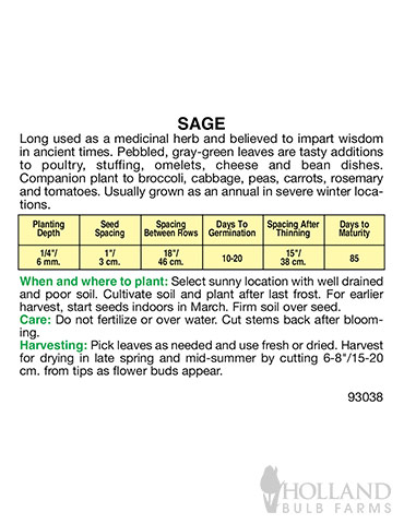 Sage - 75651