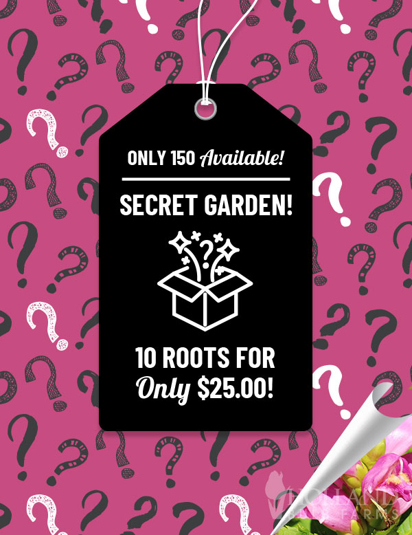 Secret Garden Perennial Pack