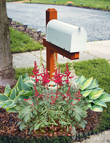 Shady Perennial Mailbox Garden - 77620
