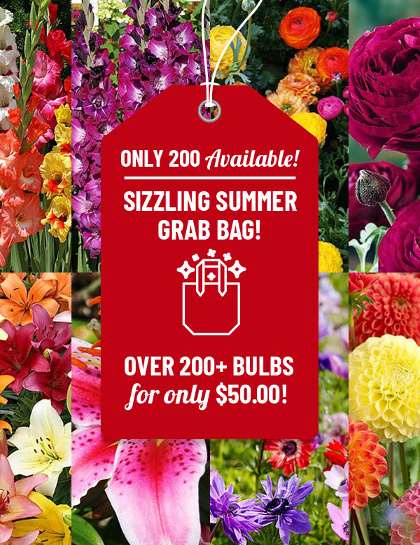 Sizzling Summer Flower Grab Bag
