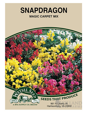 Snapdragon Dwarf Magic Carpet Mix - 75627