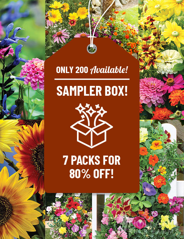 Special Seed Sampler Box