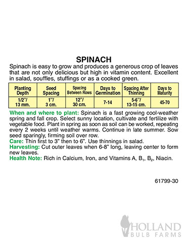Spinach Bloomsdale Long Standing - 75562