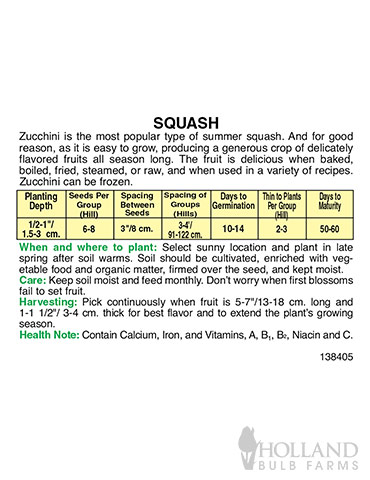 Squash Bush Zucchini Commander - 75569