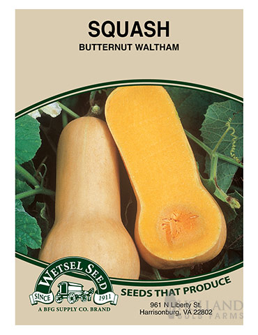 Squash Butternut Waltham - 75565
