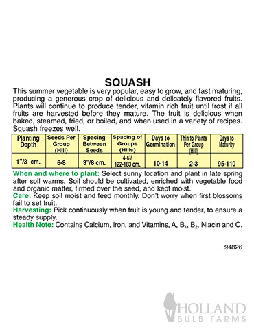 Squash Straightneck - 75566