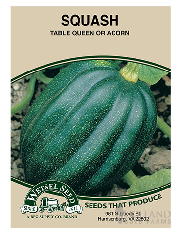 Squash Table Queen Acorn - 75567