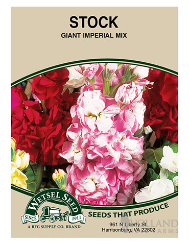Stock Giant Imperial Mix 