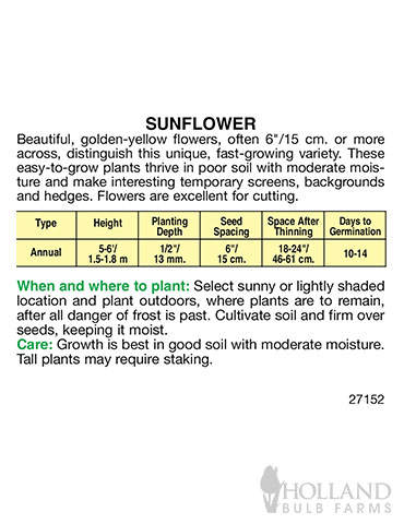 Sunflower Dwarf Double Sungold - 75669