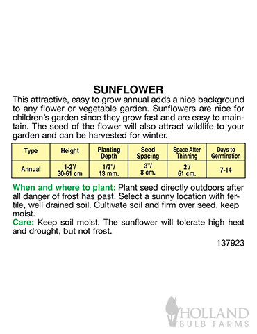 Sunflower Dwarf Incredible - 75612