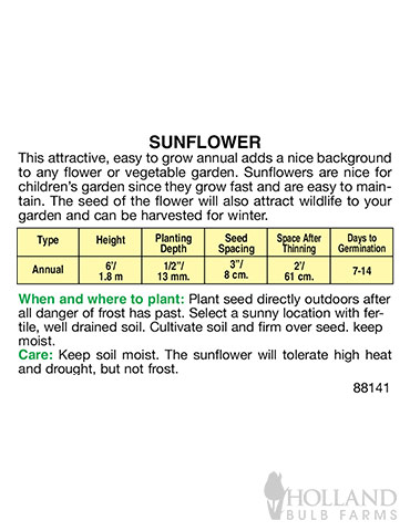 Sunflower Mardi Gras Mix Blend - 75664