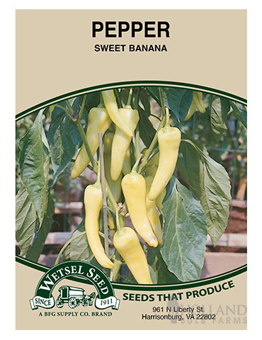 Pepper Sweet Banana - 75680