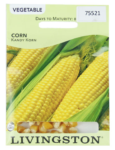 Sweet Corn Kandy Korn 