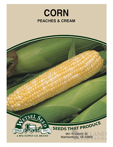 Sweet Corn Peaches and Cream - 75523