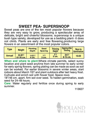Sweet Pea Supersnoop Mix - 75628