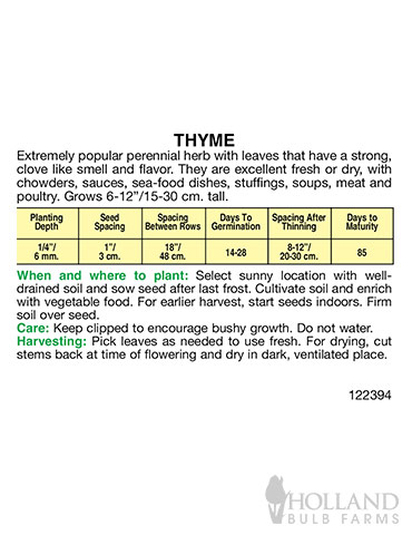 Thyme - 75509