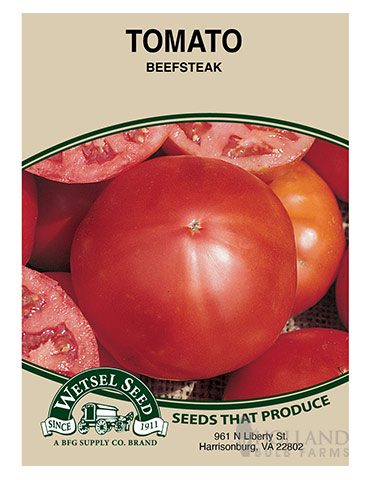 Tomato Beefsteak 