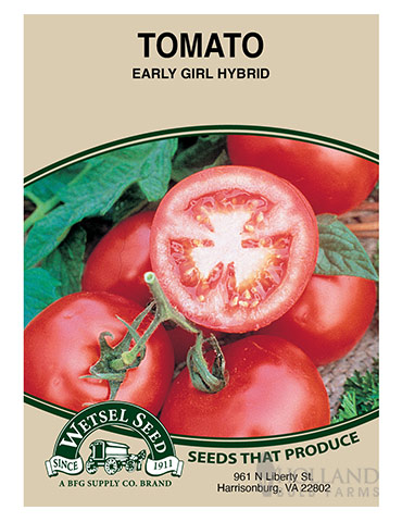 Tomato Early Girl - 75537