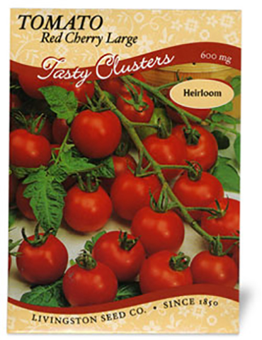 Tomato Red Cherry Large 